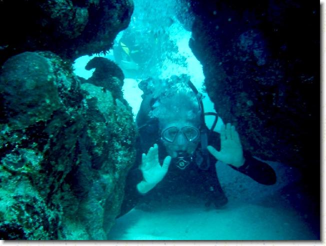 Click for the original image